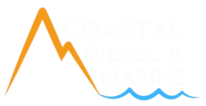 CDM Logo
