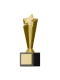 CDM award Icon