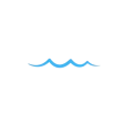 CDM Wave Icon